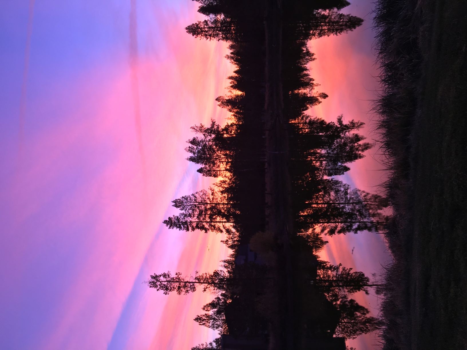 jsv;ujreap ariu ruhfp urfh peruf heiruj 